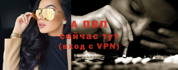 молекула духа Корсаков