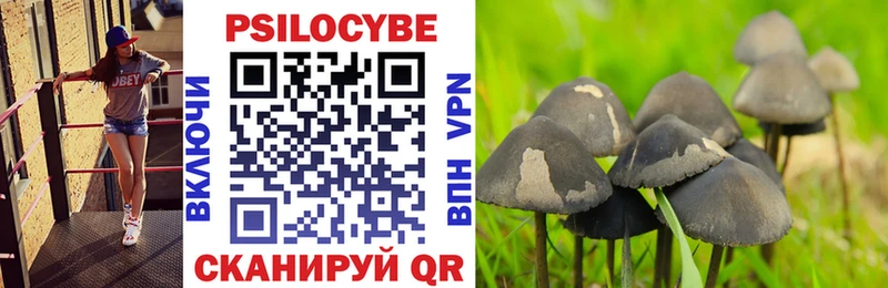 Псилоцибиновые грибы мицелий  Купить где  Белоусово 