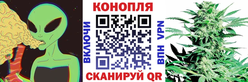 Шишки марихуана марихуана  Купить где  Белоусово 